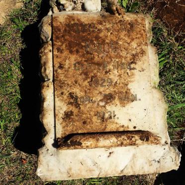 KOOT Johanna 1929-1931