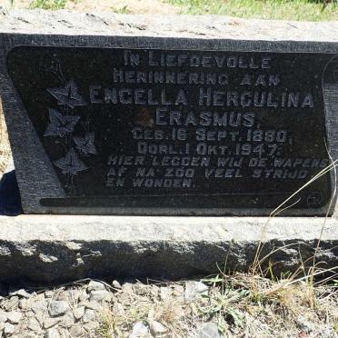 ERASMUS Jacob Fredrik 1874-1935 &amp; Engella Herculina 1880-1947