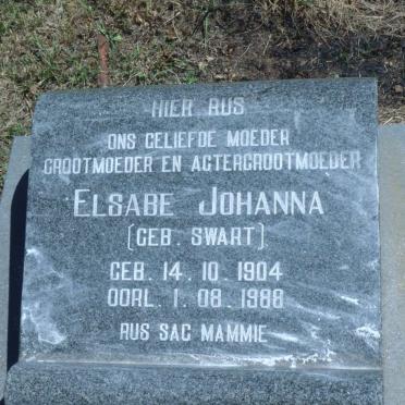 STEYN Willem Johannes 1896-1953 &amp; Elsabe Johanna SWART 1904-1988