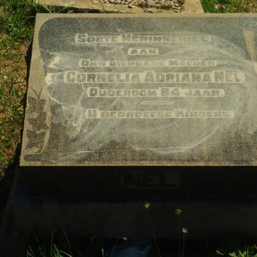 NEL Cornelia Adriana