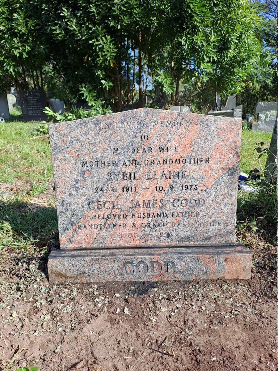 CODD Sybil Elaine 1911-1975 :: CODD Cecil James 1900-199?