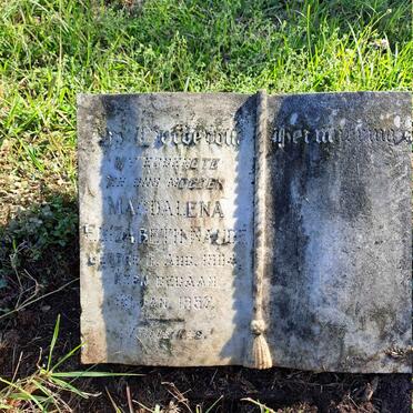 N-Surnames _ Vanne-N