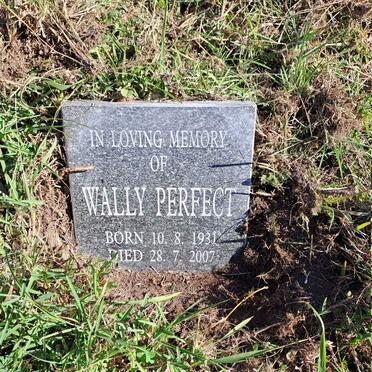 PERFECT Wally 1931-2007