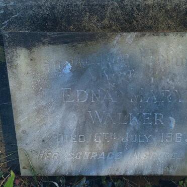 W-Surnames _ Vanne-W