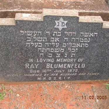 BLUMENFELD Ray -1972