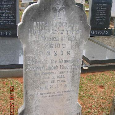 BLOOMBERG Abraham Judah -1923