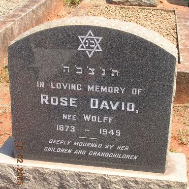 DAVID Rose nee WOLFF 1873-1949