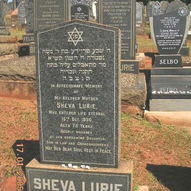 LURIE Sheva -1950