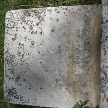 AMBROSE Elsie Pietronella formerly DE WET -1972