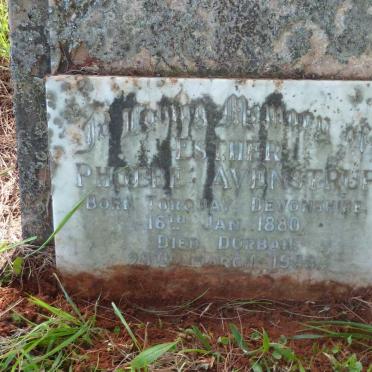 AVENSTRUP Esther Phoebe 1880-1958