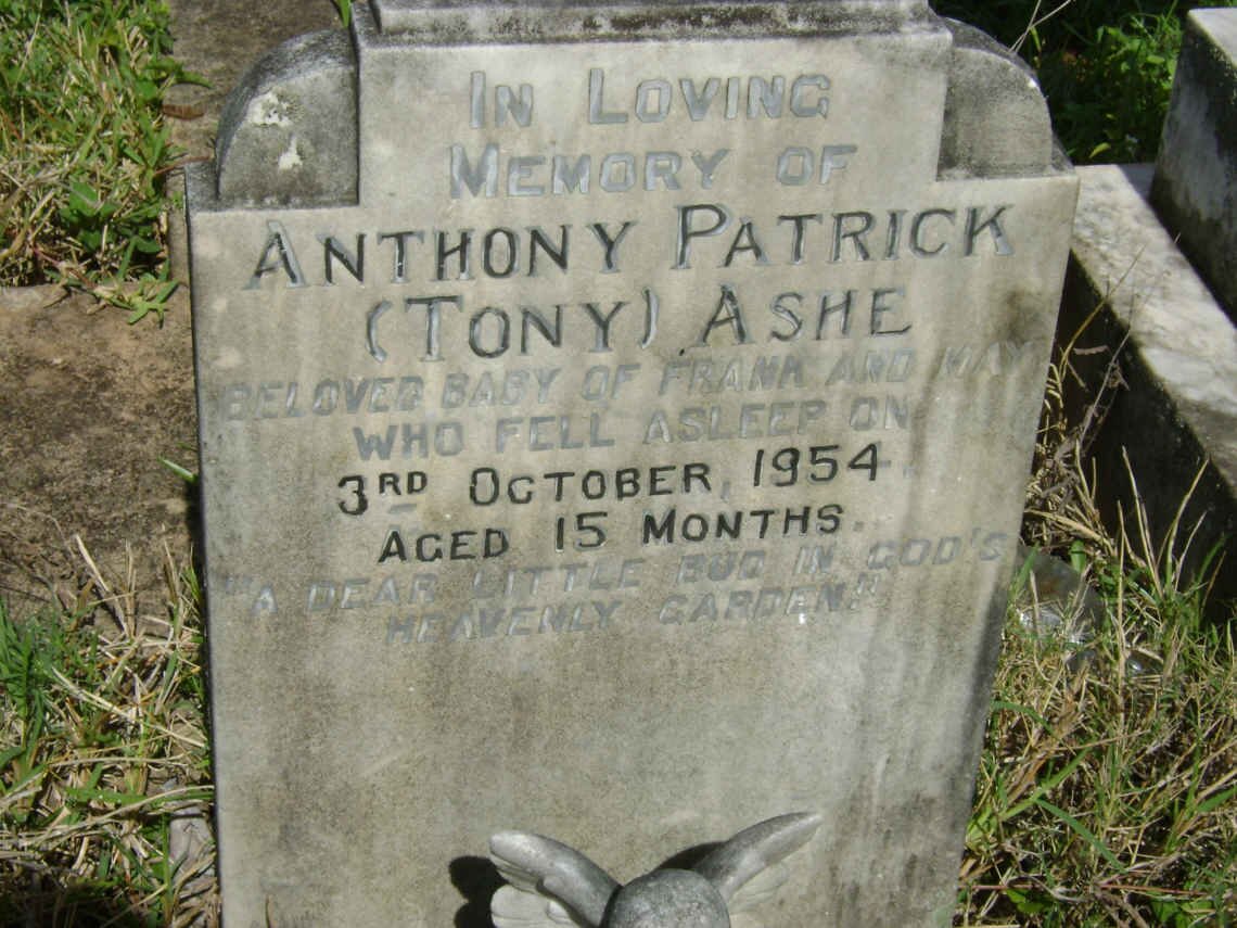 ASHE Anthony Patrick -1954
