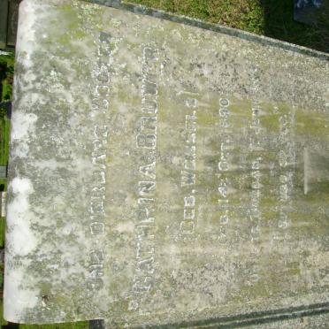 BRUWER Cathrina nee WESSELS -1890-1930