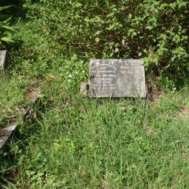 BEZUIDENHOUT  Petrus Johannnes 1914-1938