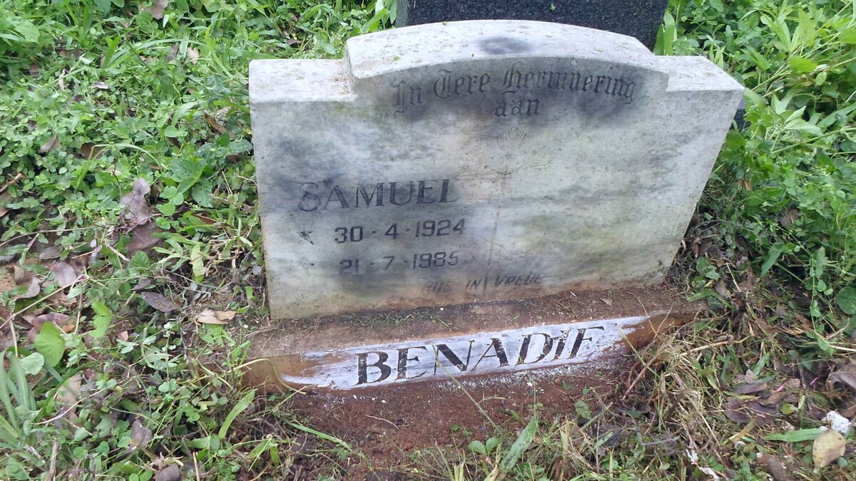 BENADIE Samuel 1924-1985