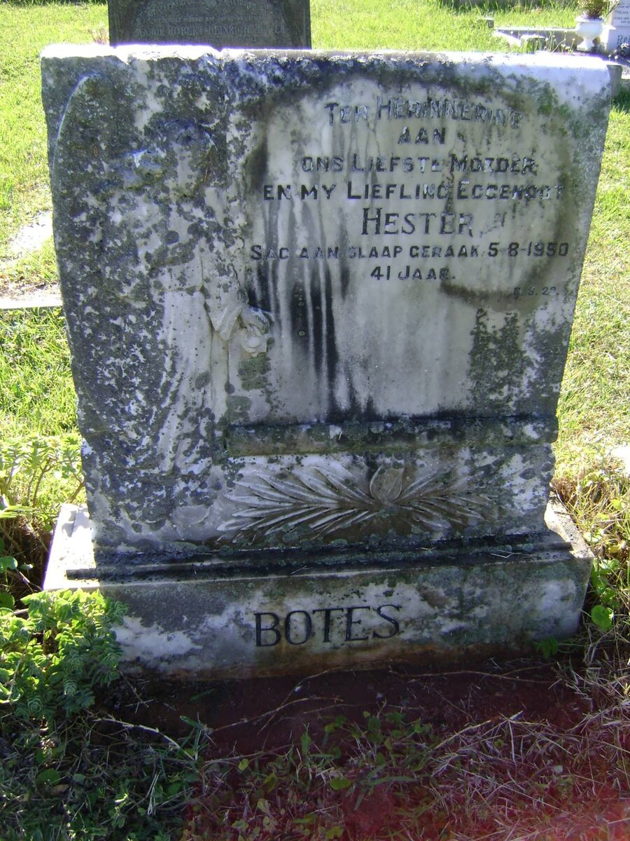 BOTES Hester -1950