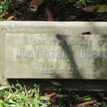 BOSCH John Henry -1936