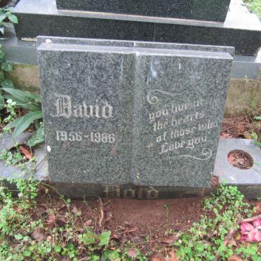 BOLD David 1956-1986