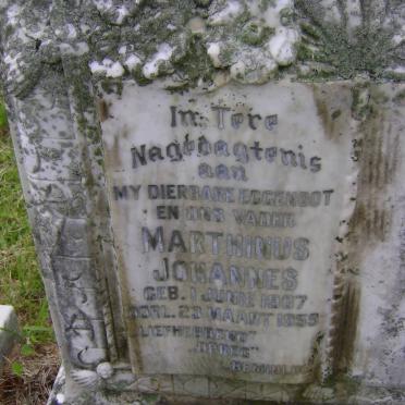 BOTHA Marthinus Johannes 1907-1959