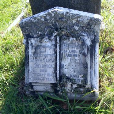 CHADWICK :: ORNELLAS