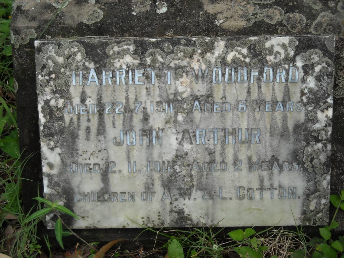 COTTON Harriett Woodford -1911 :: COTTON John Arthur -1911