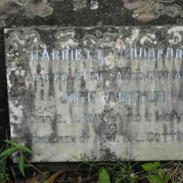 COTTON Harriett Woodford -1911 :: COTTON John Arthur -1911