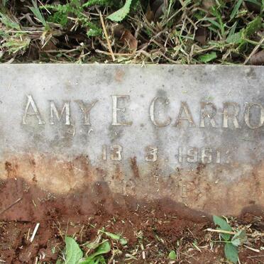 CARROLL Amy E. -1961