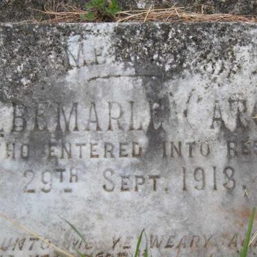 CATOR Albemarle -1913