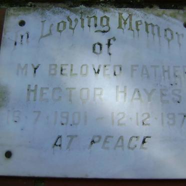 HAYES Hector 1901-1978