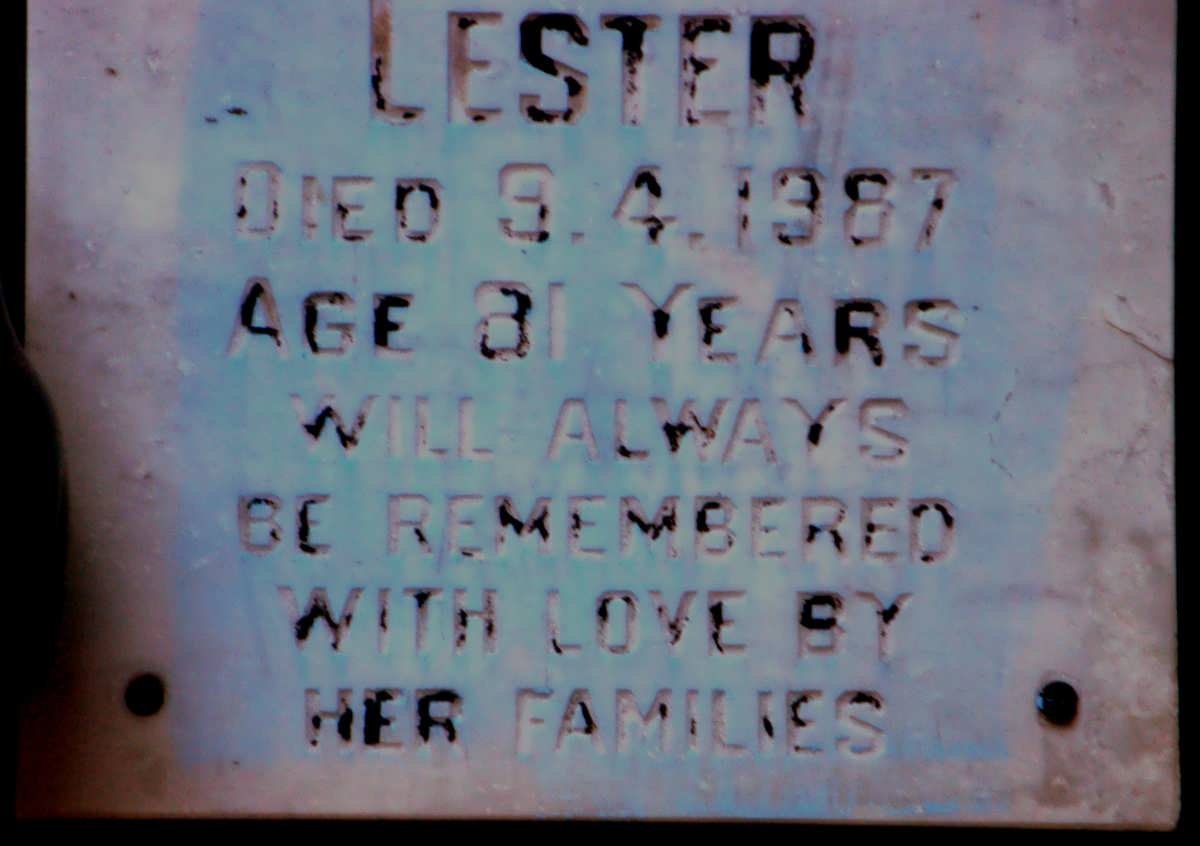 LESTER -1987
