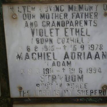 STRYDOM Machiel Adriaan 1911-1994 &amp; Violet Ethel COXHILL 1915-1978