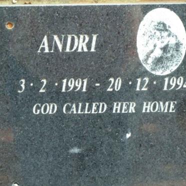 ? Andri 1991-1994