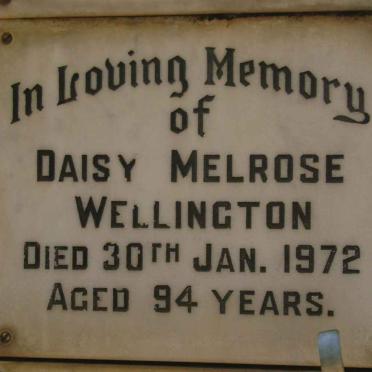 WELLINGTON Daisy Melrose -1972