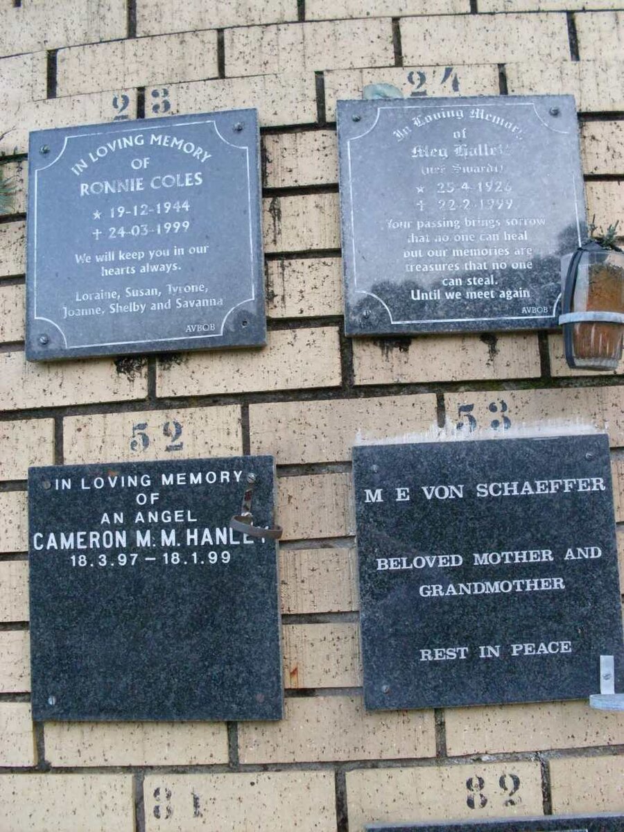 COLES :: HALLET :: HANLEY :: SCHAEFFER