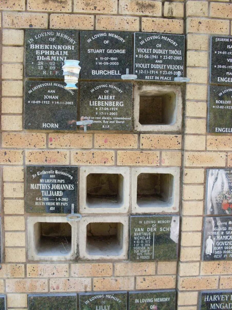 HORN :: LIEBENBERG :: VAN DER SCHYF :: TALJAARD :: THOLE :: VILJOEN