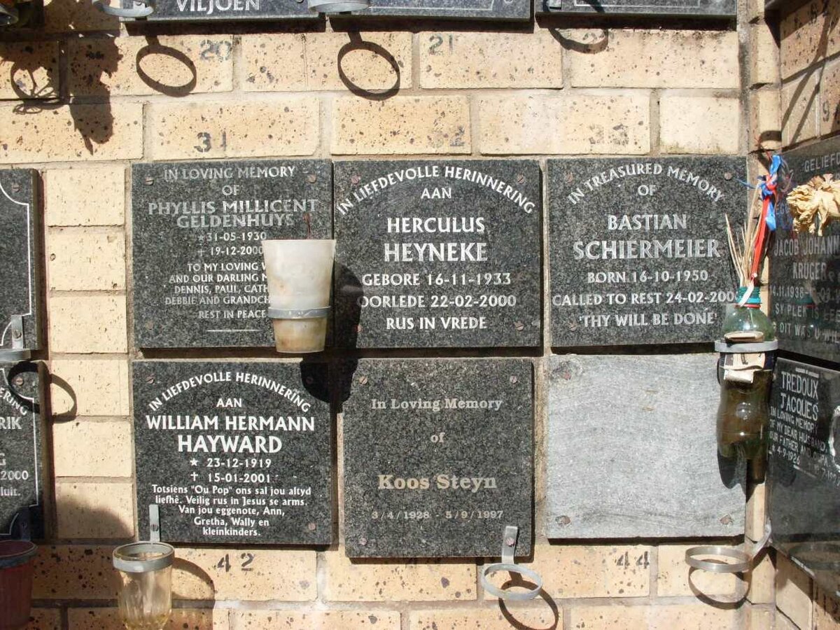 GELDENHUYS :: HAYWARD :: HEYNEKE :: SCHIERMEIER :: STEYN