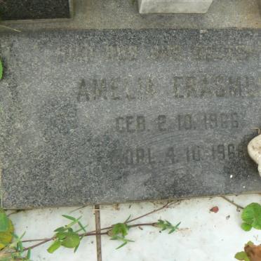 ERASMUS Amelia 1966-1966