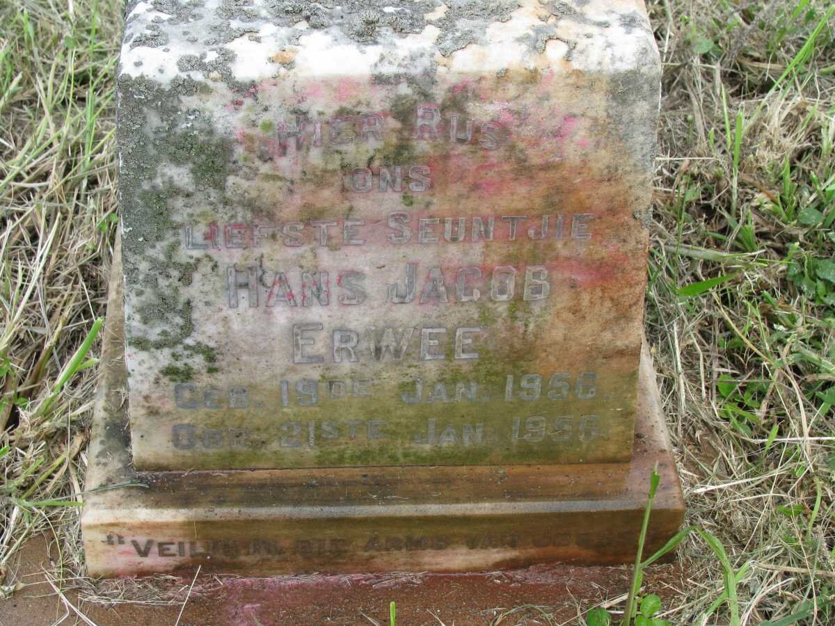 ERWEE Hans Jacob 1956-1956