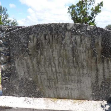 FILEN Mary Petronella nee McDONALD -1955