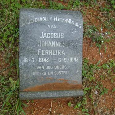 FERREIRA Jacobus Johannes 1945-1945