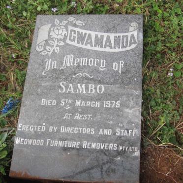 GWAMANDA Sambo -1975