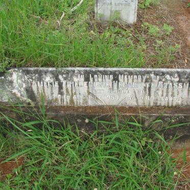 GRASSMANN Amelie Friedericke Henriette nee BOHLMANN -1959