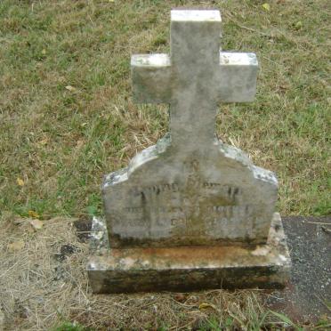 GLOSTER Mary Lyons -1958