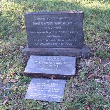 GONZALES Juan Victor 1877-1935 &amp; Olive Amelia 1883-1948 :: GONZALEZ Ronald Luis 1951-1998