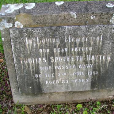 HAYTER Thomas Spoffeth -1951