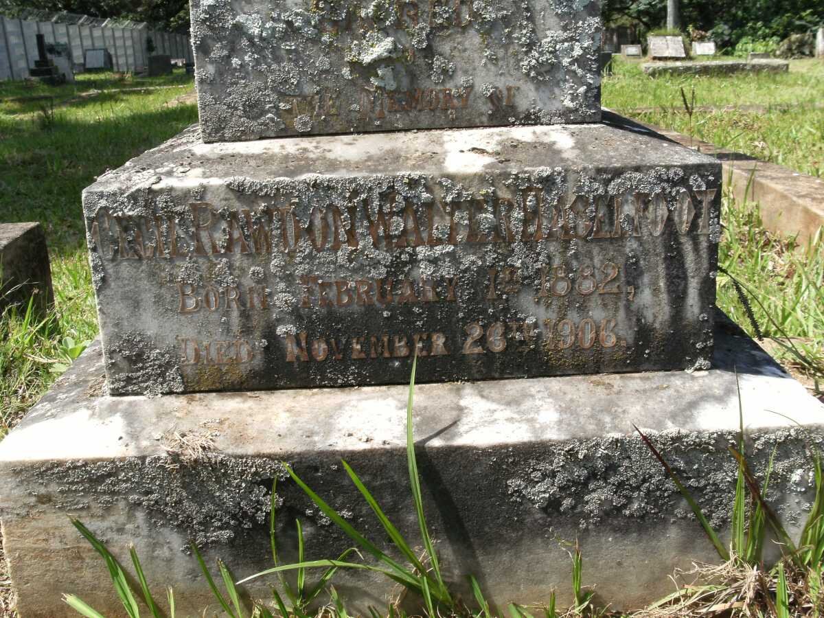 HASELFOOT Cecil Rawdon Walter 1882-1906