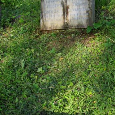 HALL Thomas Edward -1966 &amp; Catherine Agnes -1958 :: HALL Desmond 1930-1995