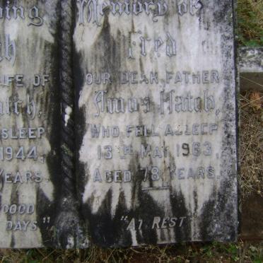 HATCH Fred Amos -1963