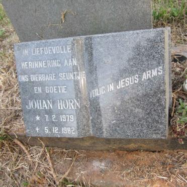 HORN Johan 1979-1982