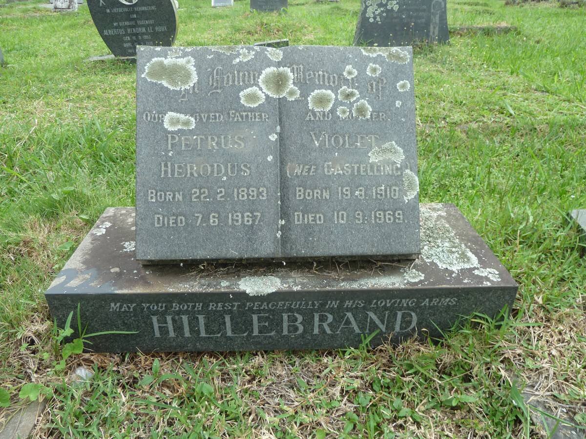 HILLEBRAND Petrus Herodus 1893-1967 &amp; Violet CASTELLING 1910-1969