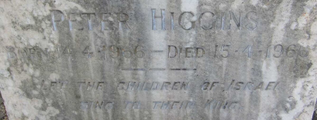 HIGGINS Peter 1966-1966